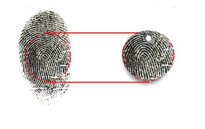 Petite actual fingerprint pendant in solid 14k gold • custom personalized actual fingerprint charm Memorial jewelry in Yellow, White or Rose